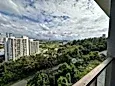 The Peak Vista