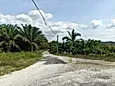 Tanjung Malim Perak