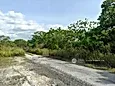 Tanjung Malim Perak