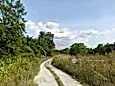 Tanjung Malim Perak
