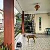 Mahkota Hill Bandar Tasik Senangin Lenggeng Negeri Sembilan