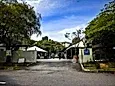 Gugusan Mawar
