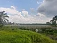 Kampung Sijangkang, Telok Panglima Garang