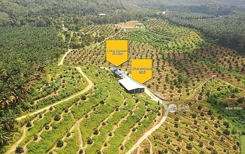 Jalan Telemong Karak Pahang