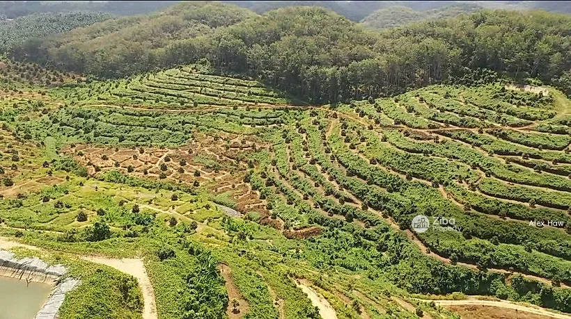 Jalan Telemong Karak Pahang