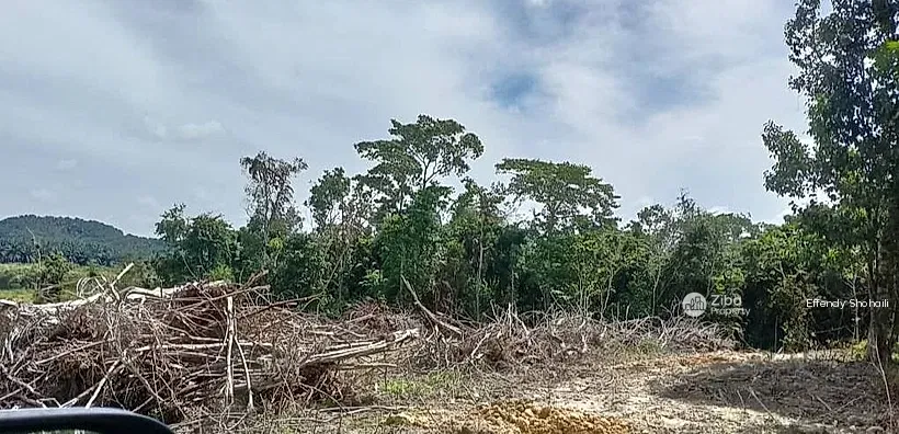 Bentong Sabai