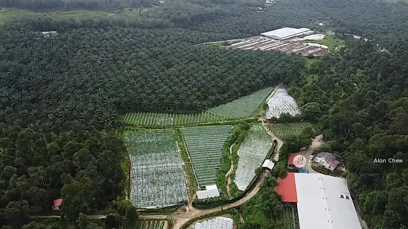 Rembau, Negeri Sembilan