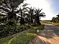 Bandar Baru Salak Tinggi, Sepang