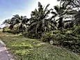 Bandar Baru Salak Tinggi, Sepang